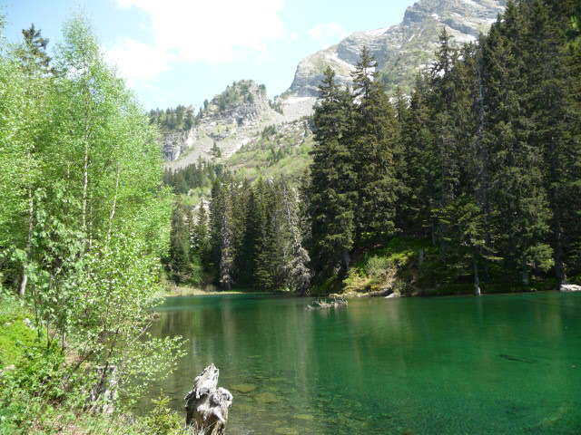 Site Natura 2000 du Taillefer